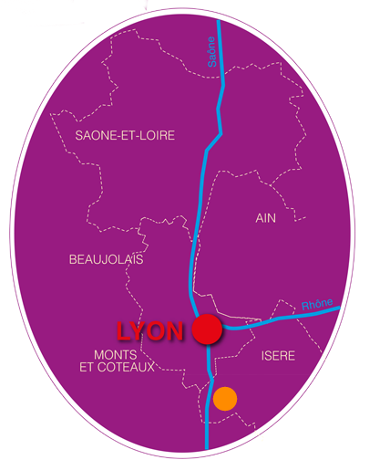 Vienne-musee-civilisation - Les visites guidées d'Emilie à Lyon